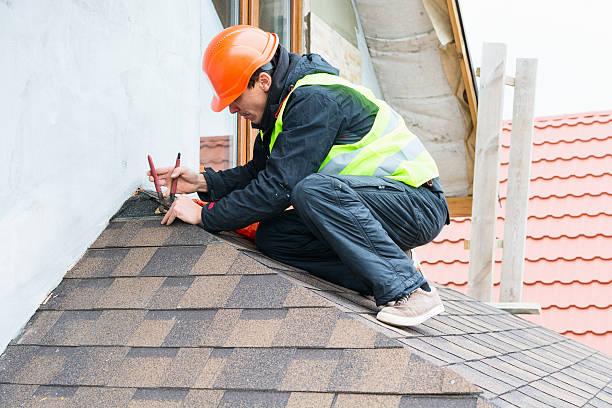 Best Gutter Installation and Roofing  in Wendell, NC
